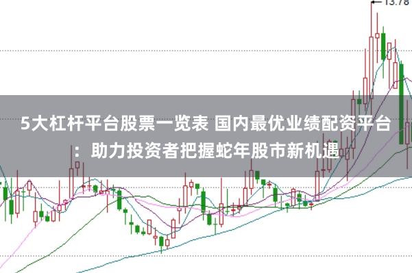 5大杠杆平台股票一览表 国内最优业绩配资平台：助力投资者把握蛇年股市新机遇