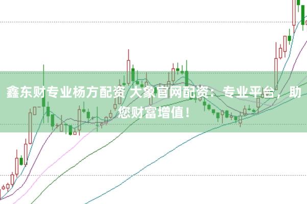鑫东财专业杨方配资 大象官网配资：专业平台，助您财富增值！