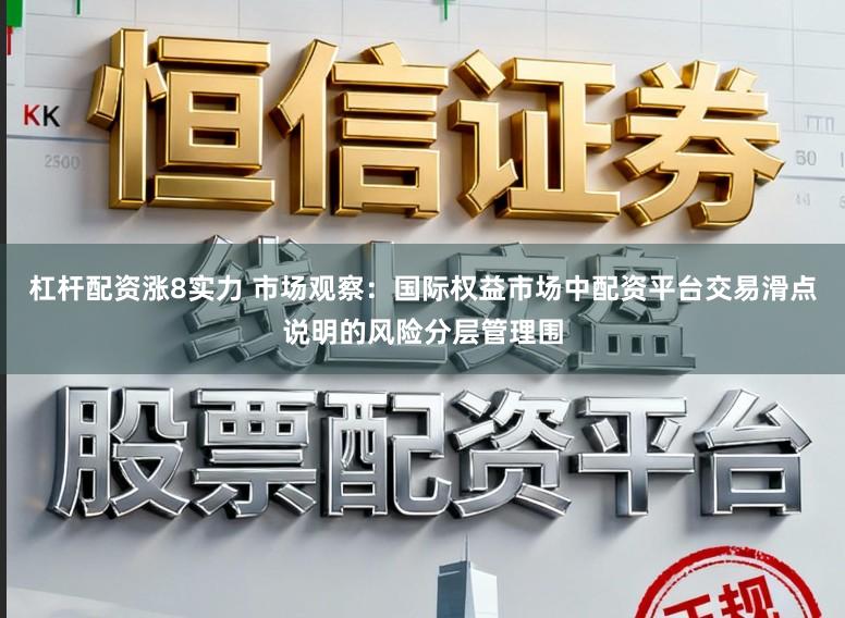 杠杆配资涨8实力 市场观察：国际权益市场中配资平台交易滑点说明的风险分层管理围