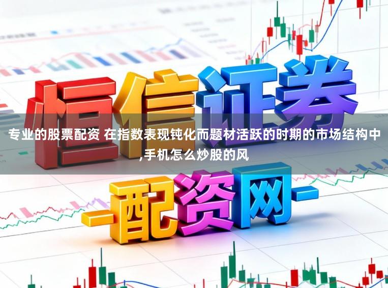 专业的股票配资 在指数表现钝化而题材活跃的时期的市场结构中,手机怎么炒股的风