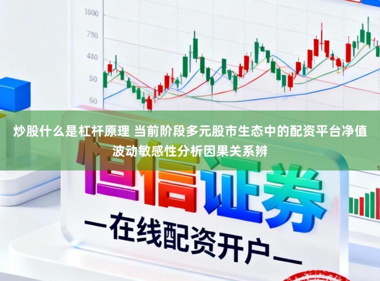炒股什么是杠杆原理 当前阶段多元股市生态中的配资平台净值波动敏感性分析因果关系辨