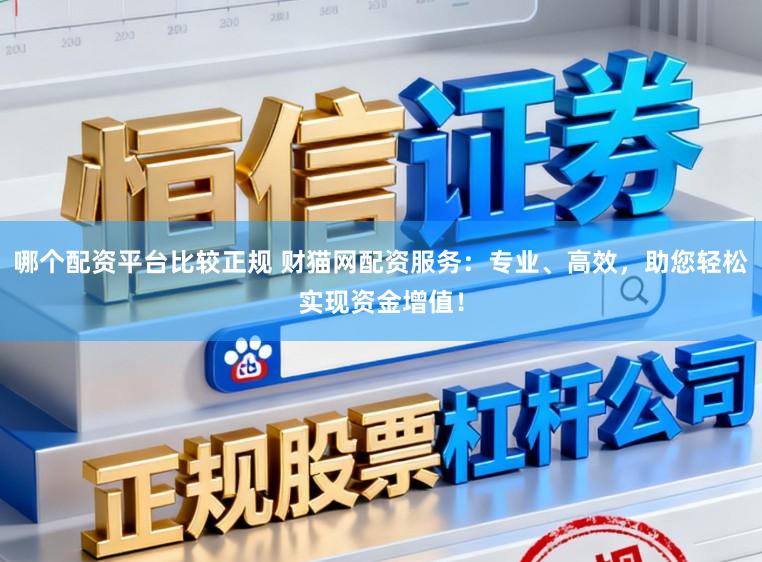 哪个配资平台比较正规 财猫网配资服务:专业、高效,助您轻松实现资金增值!